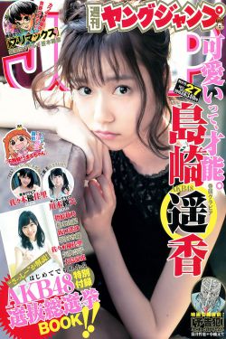 黑道家族